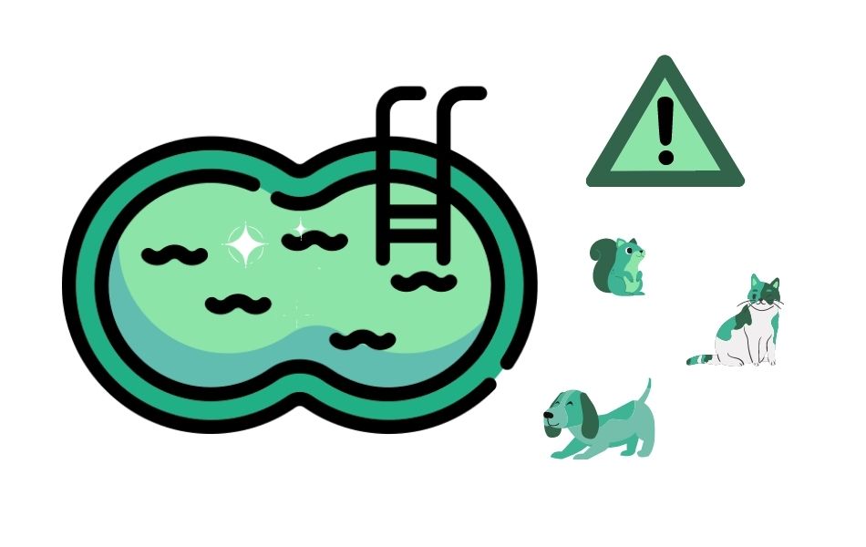 Los peligros de las piscinas para las mascotas
