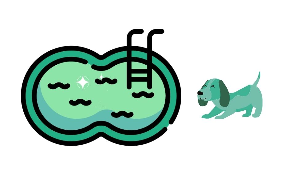 Mascotas y piscina